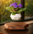 Modern Home Décor TrendyZone
