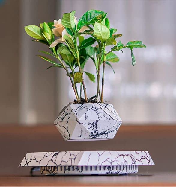 Elegant Levitating Planter for Home Décor TrendyZone