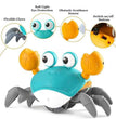 Cute Crab Toy Adeeba's Collection