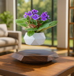 Modern Home Décor TrendyZone