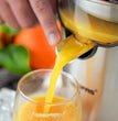 Stainless Steel Citrus Juicer TrendyZone