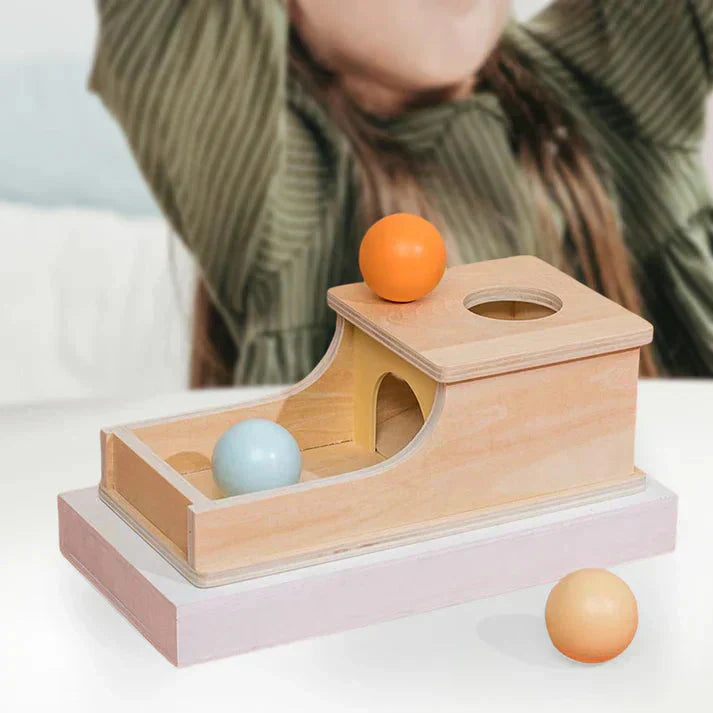 New Wooden Montessori Teaching Aids Sensory Training Target Box Toys UAE