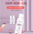 Silky Beauty Hair Spray GIBBS